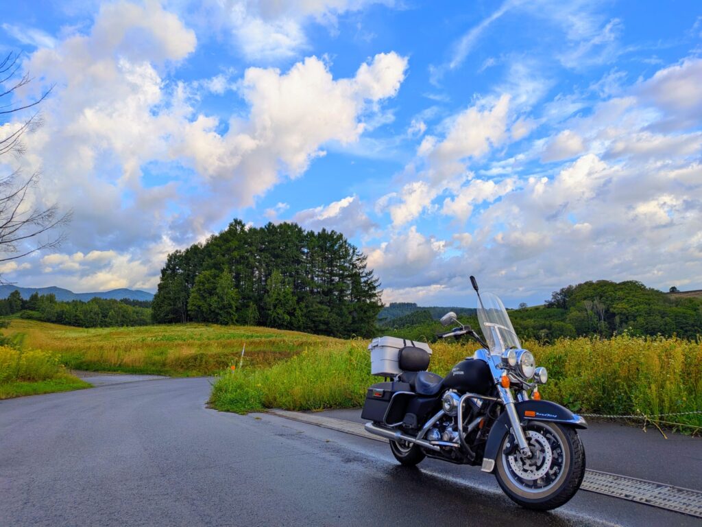 マイルドセブンの丘