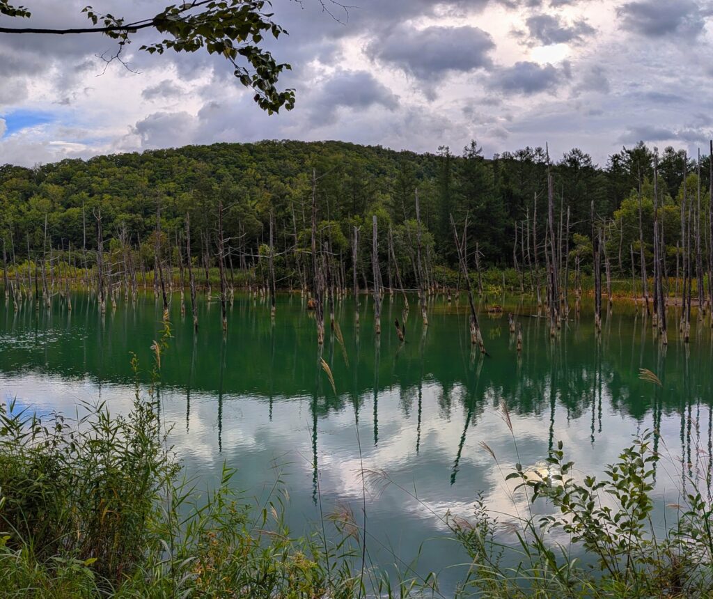 青い池