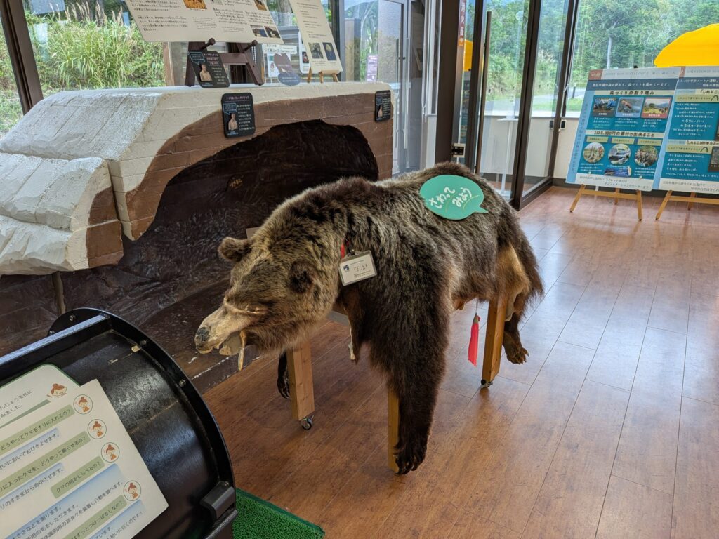 知床自然センター